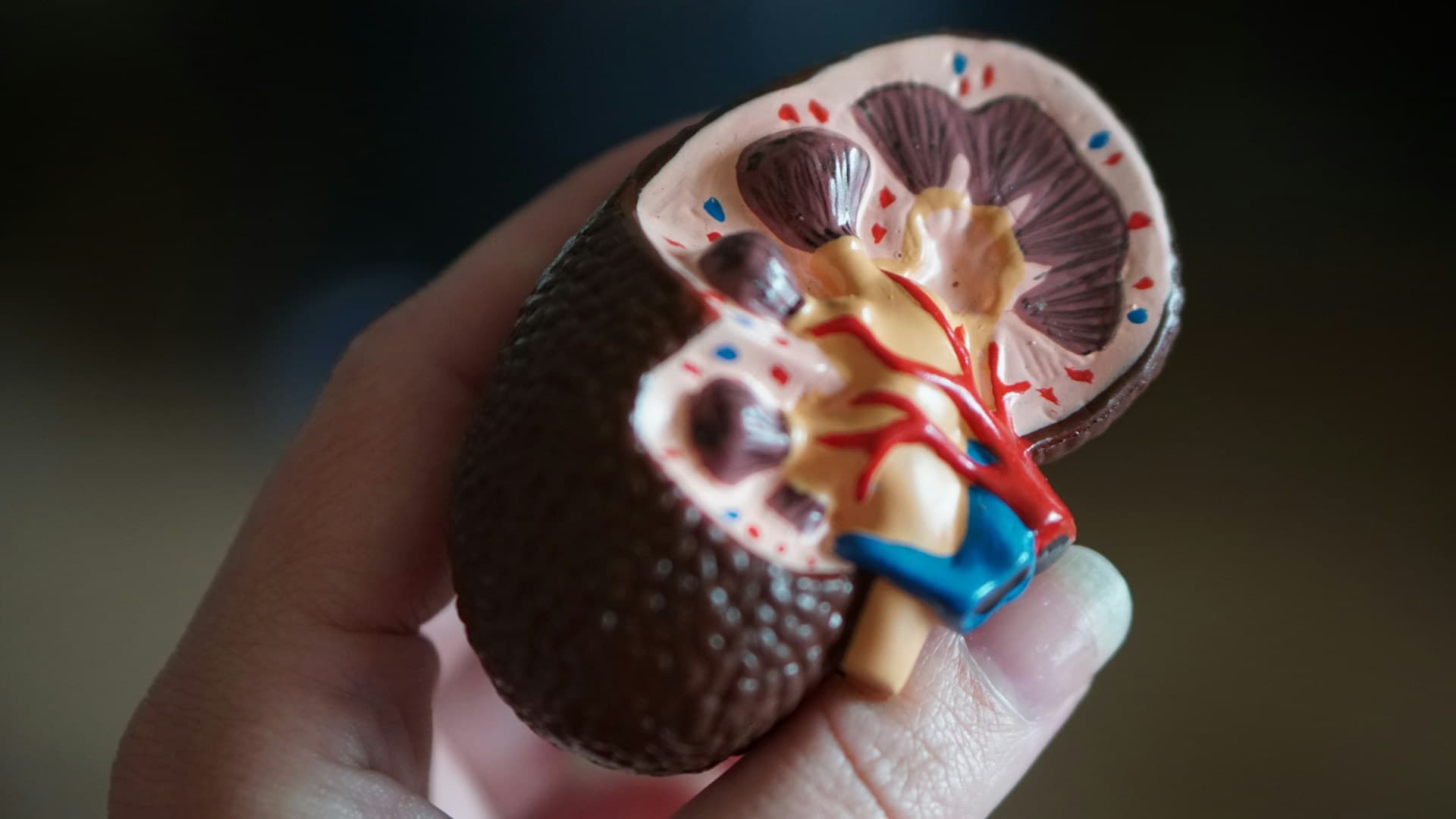 Blister packs of pills, representing the therapeutic breakthrough of semaglutide for kidney disease.